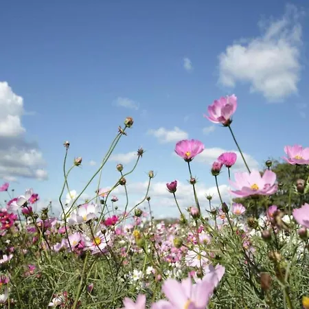 Nature Retreat In Hambachtal * Oberhambach