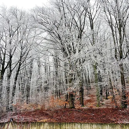 Nature Retreat In Hambachtal *