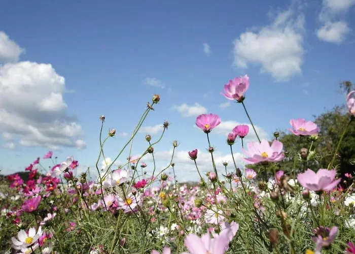 Nature Retreat In Hambachtal * Oberhambach