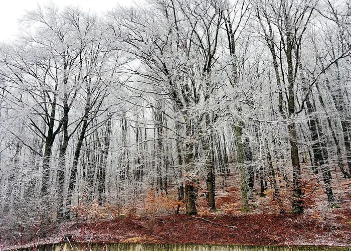 Nature Retreat In Hambachtal *